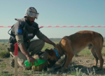 BMTİP Azərbaycan nümayəndəliyi minatəmizləmə fəaliyyətləri haqqında qısametrajlı film təqdim edir: "Bu oyun deyil"