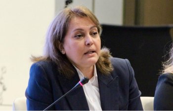 Umayra Tağıyeva: Ekoloji problemlərin həlli üçün böyük maliyyə lazımdır