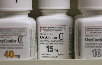 Ali Məhkəmə OxyContin Müqaviləsini Ləğv Etdi, Sackler Shield-i sındırdı