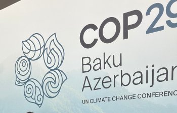 COP29 könüllüləri "Kiçik dostlarımız üçün təkrar istifadə" şüarı ilə ekoloji aksiya keçiriblər