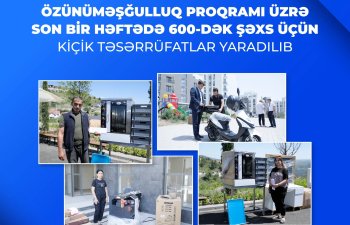 Özünüməşğulluq proqramı üzrə son bir həftədə 600-dək şəxs üçün kiçik təsərrüfatlar yaradılıb