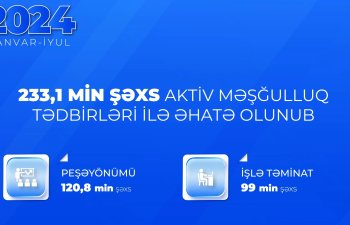 Yanvar-iyul aylarında 233,1 min şəxs aktiv məşğulluq tədbirləri ilə əhatə olunub