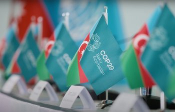 Ermənistan konfransa dəvət olunan ölkələr arasındadır - COP29 Azərbaycan üzrə baş icraçı direktoru