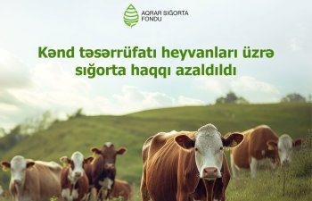 Kənd təsərrüfatı heyvanlarının sığortası üzrə -SIĞORTA TARİFLƏRİ AZALDILDI