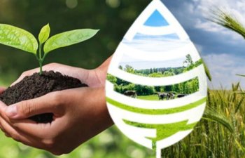 Aqrar Sığorta Fondu fermer və təsərrüfatlara müraciət edib - VİDEO