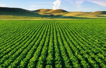 Ağdərə Həsənriz kəndində torpaqların əkin üçün istifadəsinə müraciət başlanır