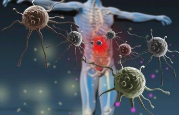 Novartis anti-xərçəng proteininin inkişafını dayandırıb