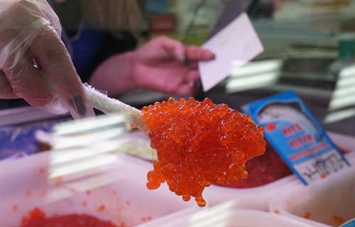 Qızılbalıq kürüsünün qanuni dövriyyəsi tam açıqlanıb