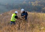 “AzerGold” QSC tərəfindən “Qırmızı Kitab”a daxil edilmiş nadir bitki növlərinin çoxaldılması və reintroduksiyası layihəsi icra edilir