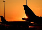 Rusiyanın 10 aeroportuna uçuşların məhdudlaşdırılması rejimi yenidən uzadılıb