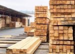 Rusiyadan ağac məhsullarının ixracı həcmi 10% azalıb
