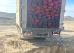 Rusiyadan idxal edilən kartofda karantin tətbiq edilən orqanizm aşkarlanıb