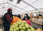 Bazar tipli ticarət mərkəzlərində çalışan əməkdaşlar tibbi müayinədən keçirilməlidir - AQTA