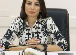 Dövlət müəssisələrinə özəl investisiyaların cəlb edilməsi iqtisadi artımı dəstəkləyəcək - ŞƏRH