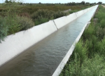 Saatlıda yeni növ kanal çəkilib