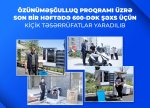 Özünüməşğulluq proqramı üzrə son bir həftədə 600-dək şəxs üçün kiçik təsərrüfatlar yaradılıb