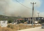 Türkiyədə eyni vaxtda daha iki meşə yanğını baş verib