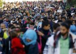 Almaniyadan sığınacaq alan əfqanlar vətənlərinə turist kimi səfər edirlər