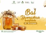 Bakıda Bal yarmarkası başladı: Təxminən 300 arıçının məhsulları təqdim edildi
