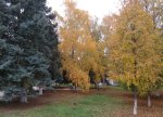 Sentyabrın 22-də Yer kürəsinin Şimal yarımkürəsində astronomik payız başlayacaq