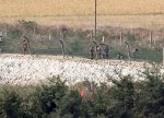 Cənubi Koreya Şimali Koreyanın nəqliyyat əlaqələrini bağlamaq qərarını pisləyib