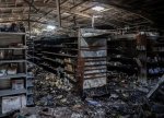 Martinikada etirazlar yenidən şiddətlənib