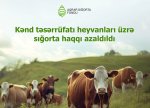 Kənd təsərrüfatı heyvanlarının sığortası üzrə -SIĞORTA TARİFLƏRİ AZALDILDI