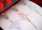 Yeni Zelandiya sahillərində zəlzələ baş verib