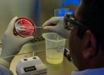 Alimlər: Antibiotiklərə davamlı bakteriyaların yayılması səhiyyə sahəsində ciddi narahatlıq doğurur