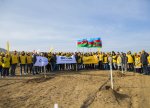 Yelo Bank dedi və etdi: hər müştəri üçün bir ağac!