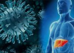 Alimlər hepatit virusunun təkamül mənşəyini aşkar ediblər