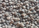 Avropada mineral gübrələrin qiymətləri kəskin bahalaşıb