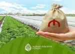 Sığorta ödənişləri 45,5% artıb