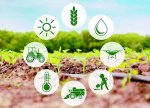 Azərbaycanda aqrar sahədə yerli istehsalın strukturunun diversifikasiyalaşdırılması və stimullaşdırılması mexanizmləri