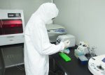 Quş qripi xəstəliyinə qarşı monitorinq keçiriləcək