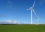Norveç külək enerjisinə investisiyaları dayandırmağı təklif edir