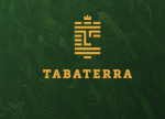 “TABATERRA” MMC – 2024-cü ildə 689,3 milyon manat vergi ödəyib