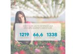 Son 5 ildə qadın sahibkara 66,6 milyon manat güzəştli kredit verilib
