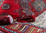 Azərbaycanda 700 kvadrat metr xalça istehsal edilib