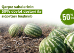 Fermerlərin nəzərinə: Azərbaycanda qarpız sahələrinin sığortalanması mösümü başlayıb – ŞƏRTLƏR, MƏBLƏĞLƏR