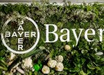 Bayer Almaniyanın bitki mühafizəsi seqmentində 200-dən çox iş yerini ixtisar edəcək