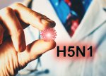 Yeni pandemiya təhlükəsi: Alimlər H5N1 virusunun yayılmasından narahatdır