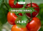Xarici bazarlara tərəvəz ixracında 5,8% artım qeydə alınıb