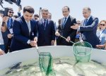 Xəzər dənizinə 100 000 nərə və 20 000 Xəzər qızılbalığı buraxılıb
