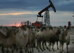 Qazaxıstan OPEC+-ın iyulda neft hasilatını artırmağı planlaşdırdığını təsdiqləyib