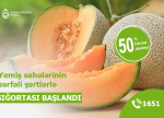 Yemiş sahələrinin sərfəli şərtlərlə sığortası başlandı – ŞƏRTLƏR, MƏBLƏĞLƏR