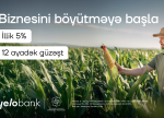 Yelo Bank güzəştli biznes krediti ilə sahibkarlığa dəstək olur