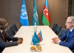 COP29 rəhbərliyi Qvineya-Bisaunun ətraf mühit naziri ilə görüşüb