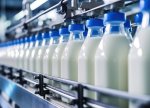 H&N müasir süd məhsullarının istehsalını 27%, ənənəvi süd məhsullarının istehsalını 14% artırıb