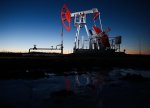 Hindistan OPEC-ə daxil olmayan neft tədarükünü genişləndirir
